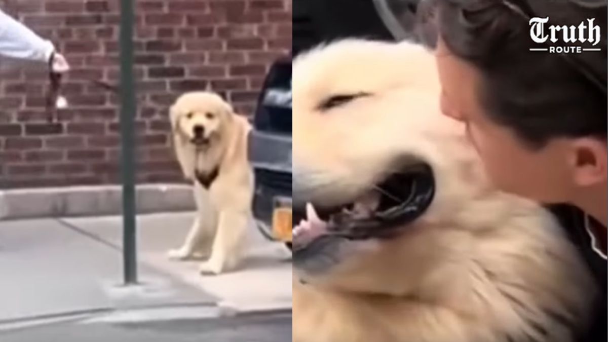 Dog Sees Old Owner & Runs Straight Into TIGHTEST Hug Ever Caught on Camera