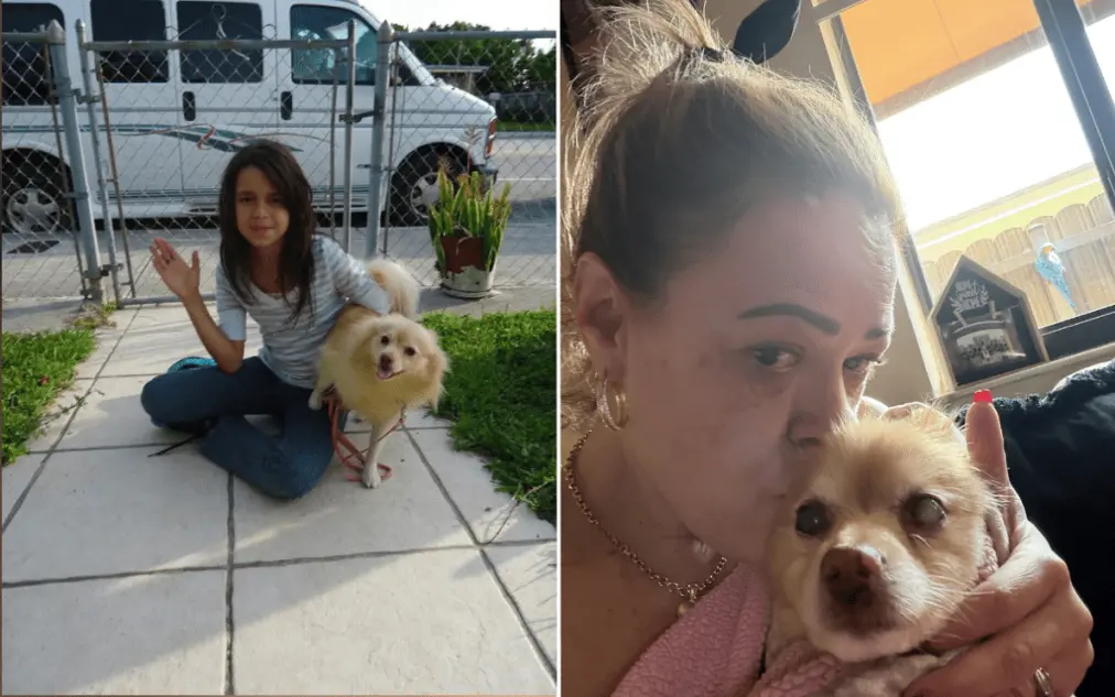 Sparkles the dog reunited with Florida owner Katie Boada after going missing for 12 years thanks to microchip scan at Fort Lauderdale shelter