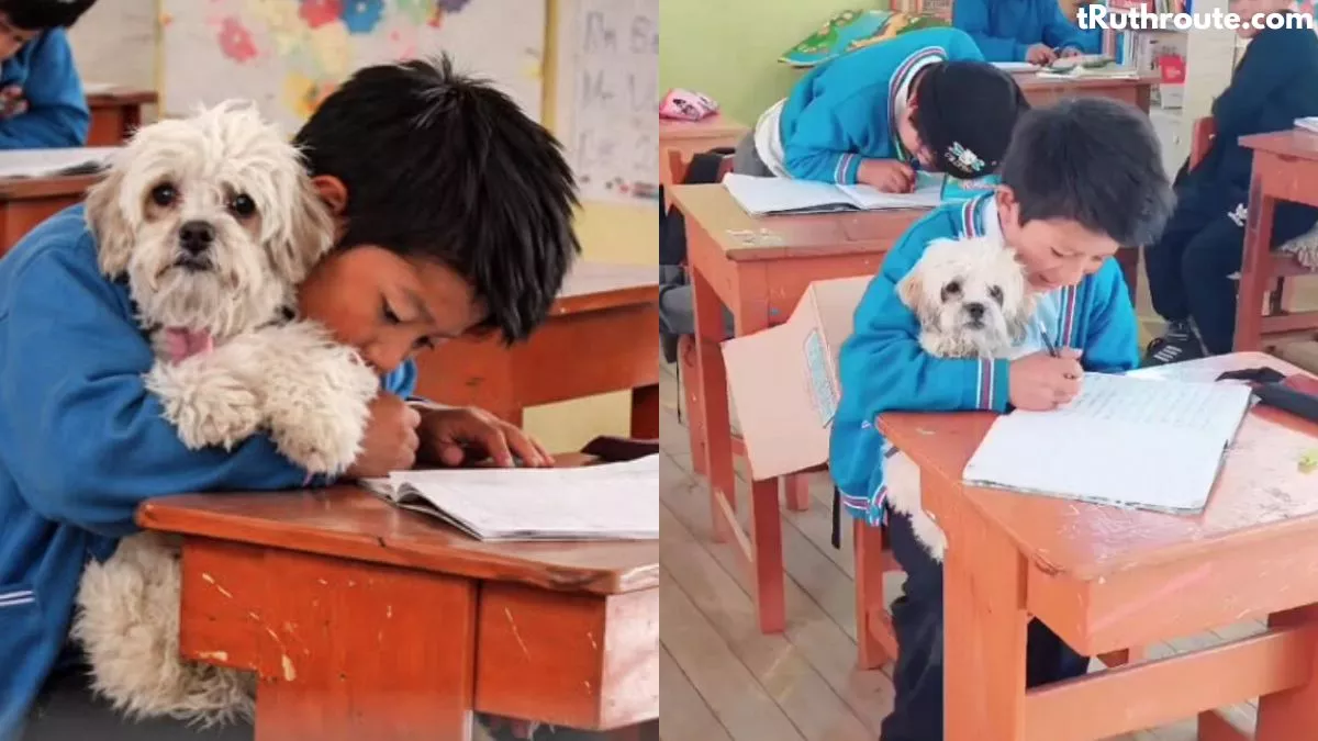 Teacher Lets Boy Bring His Dog to Class So He Wouldn’t Be Alone at Home