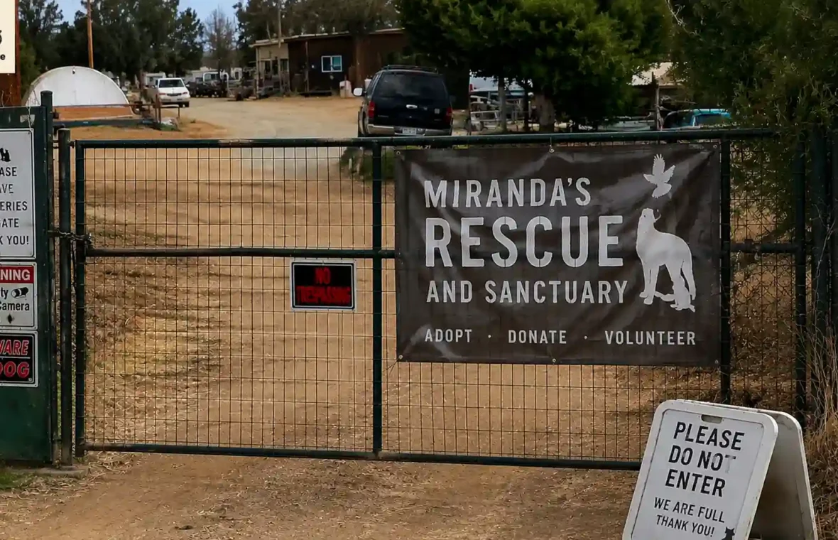 117 Dogs Found Dead at California No-Kill Rescue, Authorities Say