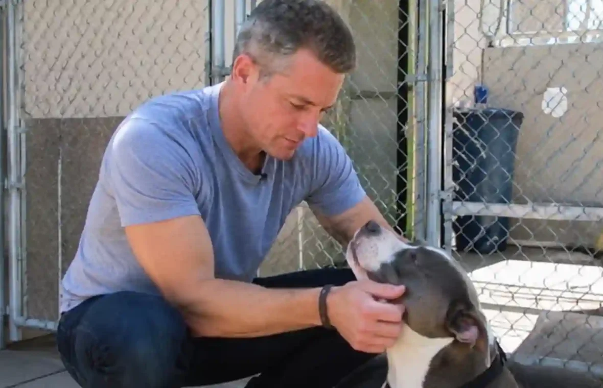 Matt Damon Meets Rescue Dog Betsy After Nearly 2 Years Without a Home