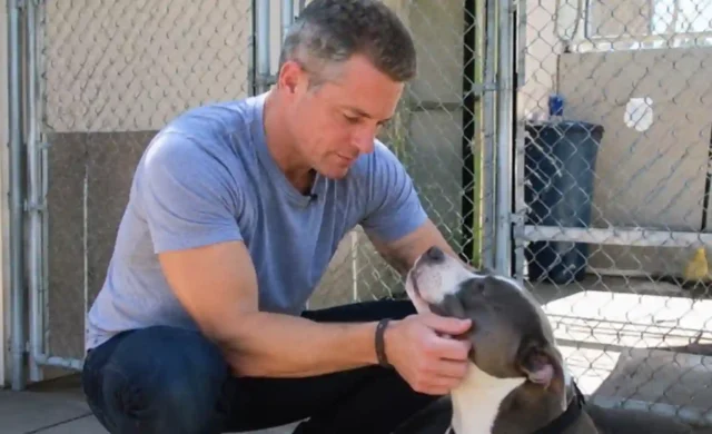 Matt Damon Meets Rescue Dog Betsy After Nearly 2 Years Without a Home