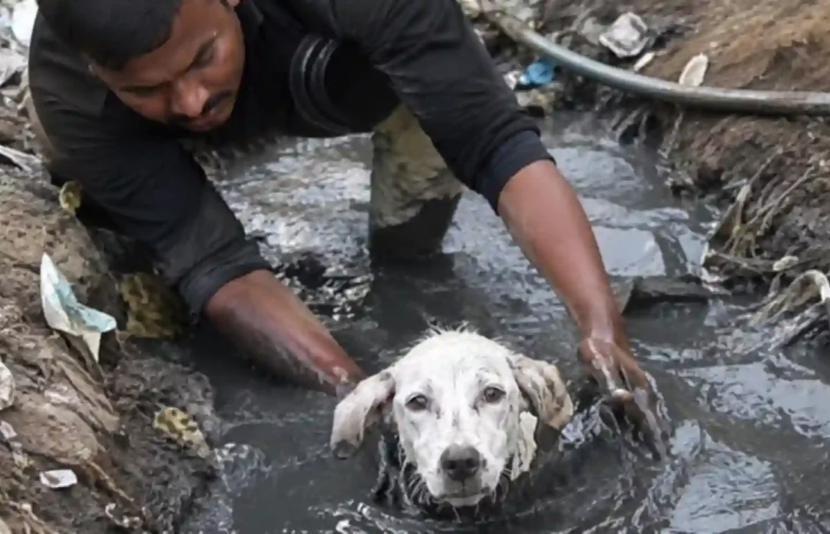 TruthRoute Animal Stories: Real Rescue News, Viral Pets and Verified Updates