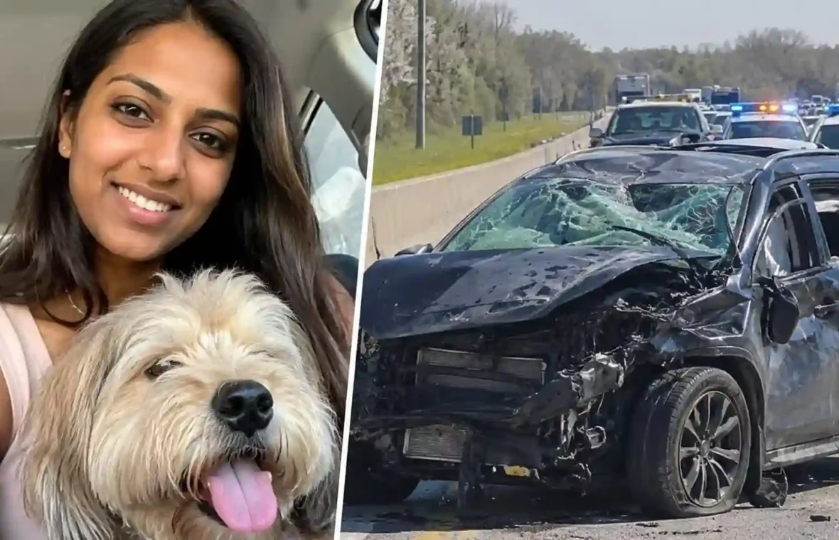 Woman Killed Trying to Save Escaped Dog After Kentucky Crash