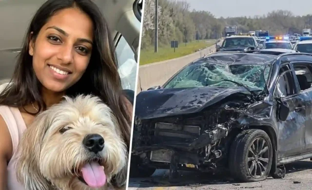 Woman Killed Trying to Save Escaped Dog After Kentucky Crash