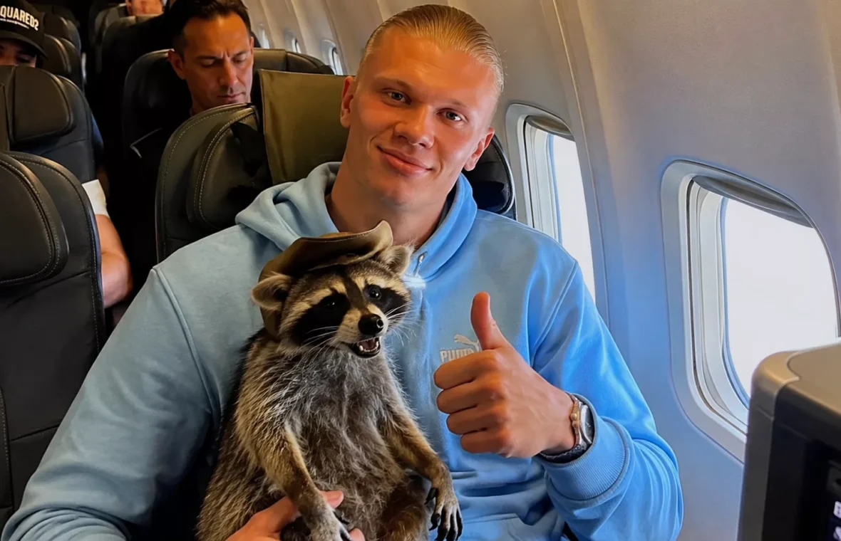 Why Erling Haaland Brought a Taxidermied Raccoon Home From the World Cup